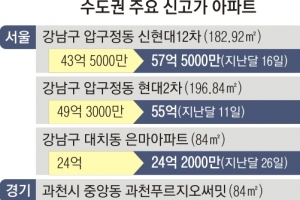 압구정 60억·은마 24억·과천 20억… 정부 공급 시그널 비웃듯 ‘신고가’