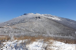코로나 역설… 국립공원 생태 살아난다