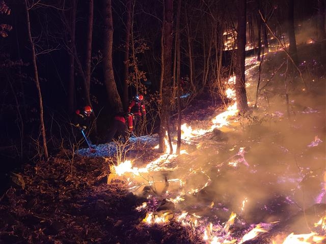 국유림 삼킨 정선 산불