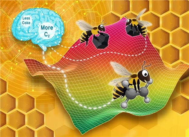 원하는 생성물(C2 화합물)의 수율은 높이고 부산물(숯, coke)의 생성을 최소화하는 조건을 찾기 위해 사용된 인공 꿀벌 군집(Artificial Bee Colony) 알고리즘 그림
