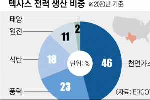 ‘텍사스 1100만원 전기료’ 뒤 에너지 민영화 그늘