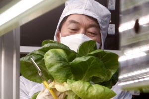 안철수 의료법 발언 두고 “최대집 아바타 아니길”(종합)