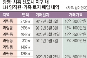 지분 쪼개고 나무 심고… 보상 업무 직원들 ‘조직적 투기’ 의혹