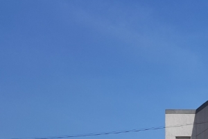 이번엔 시흥시의원 자녀 광명·시흥지구 땅 사전 매입?