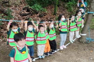 얘들아~ 강북 잣나무 숲에서 그물 타고 놀자