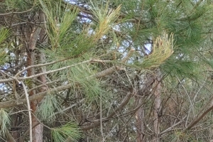 “어디서 왔어요? 이 동네 안 살면 땅을 못 사요…왜요?”