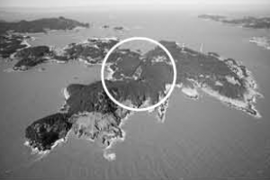 울릉도·가덕도 하늘 길 다 열리는데… 흑산도 날고 싶다