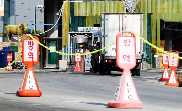 코로나19 집단감염 발생한 안성 축산물공판장