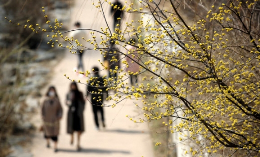 [포토] ‘봄이 왔어요’