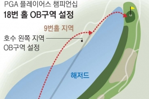 또 호수샷?… 부랴부랴 ‘디섐보 룰’ 만든 PGA