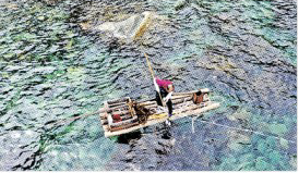 울진울릉 돌미역 떼배 채취어업 모습. 경북도 제공