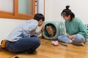 세상에 나쁜 개는 없다… ‘펫티켓 교육 1번지’ 광진