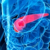 치료 어려운 암세포 찾아내 정밀타격하는 ‘유도탄’ 항암제기술 개발