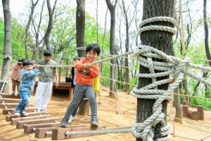 양천 숲에서 뛰며 놀기… 아이 ‘오감’ 만족