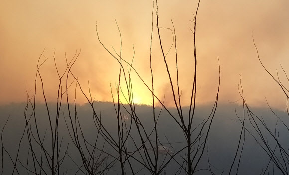 23일 오후 강원 홍천군 화촌면에서 산불이 나 산림당국이 헬기를 투입해 진화작업을 벌이고 있다.  2021.3.23  <br>홍천군 제공