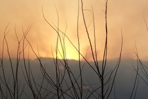 [포토] ‘건조한 봄’ 강원 홍천서 산불