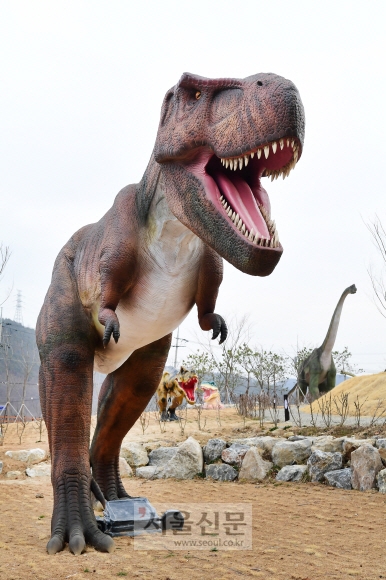방호정 맞은편의 공룡발자국 화석지에는 초식공룡의 대명사인 브라키오사우루스와 육식공룡인 티라노사우루스(사진) 조형물이 관람객을 맞는다.