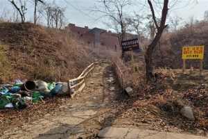 진입로 ‘알박기’탓 차로는 못 가게 된  서글픈 車미술관