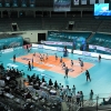 날로 치솟는 女배구 인기… 7구단 시대 급물살