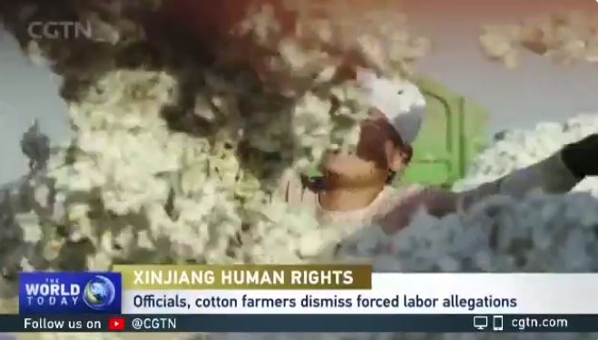중국 신장 자치구에서 면을 생산하는 근로자. CGTN화면 캡처