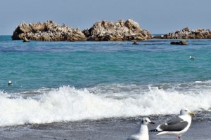 내달부터 경주시 양북면→ ‘문무대왕면‘으로 명칭 변경