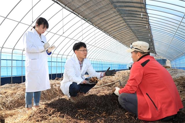 전북농업기술원 연구사들이 천마 재배와 관련해 애로사항을 듣고 있는 모습. 농촌진흥청 제공