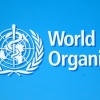 WHO ‘코로나 기원보고서’에 한국 등 14개국 “자료 접근부족 우려”