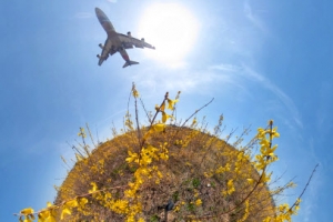 봄이 온 것처럼… 하늘길 탁 트일 날도 곧 오겠지