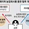 회삿돈으로 땅 사고 유령법인에 넘기고… ‘탈세의 땅’ 된 신도시