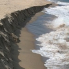 개발새발 욕망의 개발… 모래 없는 해수욕장의 역습