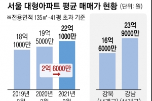 강남 재건축·마용성 단지 신고가 행진… 서울 대형 아파트값 평균 22억 넘었다