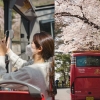 클룩, 남산·인왕산 벚꽃 감상할 수 있는 오픈탑 버스 투어 운영