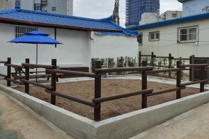 어머! 동대문 빈집들 도시 텃밭 됐네