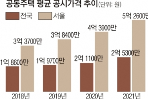 “집값 오류 잡자고 지자체로 이관”… 산으로 가는 공시가 해법?