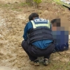 진흙길 걷는데 몸 쑥 빨려 들어간 남성…최근 나무 뽑은 곳