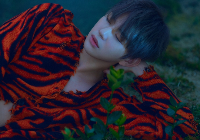 강다니엘. 커넥트엔터테인먼트 제공