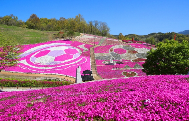 산청 생초국제조각공원 꽃잔디