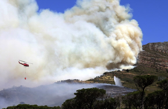 남아프리카공화국 케이프타운의 관광 명소 테이블마운틴에 18일(현지시간) 큰 불이 일어나 소방 헬리콥터가 로즈 메모리얼 일대 상공에서 물을 뿌리고 있지만 역부족으로 보인다. 케이프타운 AP 연합뉴스 