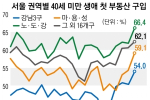 서울 2030 부동산 주고객층 부상… 굳어진 ‘패닉바잉’