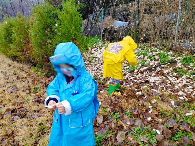 서울 도봉구 ‘산림치유 with 숲’ 프로그램에 참여한 드림스타트 사업 참여 아동들이 꽃잎과 나뭇잎을 만지며 놀고 있다. 도봉구 제공