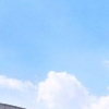 시흥시, 일본산 수산물 원산지표시 특별점검한다