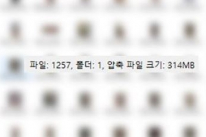 그녀 ‘엽기 나체’ 요구에 男 1000명 당했다…몸캠 사건 파문