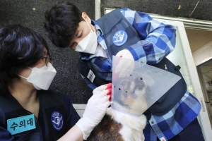 [포토] ‘유기견 봉사’ 나간 박수홍
