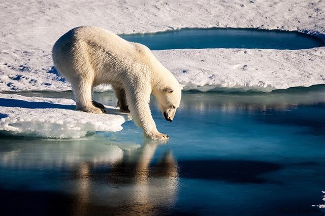 전 세계에서 빙하가 가장 큰 규모로 사라진 지역은 북극과 남극 등 극지방이다. 북극곰이나 남극 펭귄들의 서식지가 줄어드는 것뿐이라고 여길 수 있지만 지구온난화로 인한 빙하 상실은 인류의 생존 자체를 위협하는 심각한 문제다. 미국 항공우주국(NASA) 제공