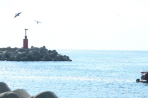 [속보] 제주행 여객선서 승객 1명 바다로 투신