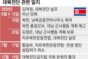 한국 때려 美 압박하는 北… 조평통·금강산관광기구 정리하나