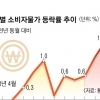 “일시적 물가 상승” 인플레 선 긋는 정부