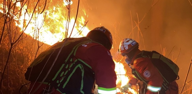 지난달 20일 강원도 정선에서 발생한 산불현장에서 소방대원들이 진화작업을 벌이고 있다. 연합뉴스
