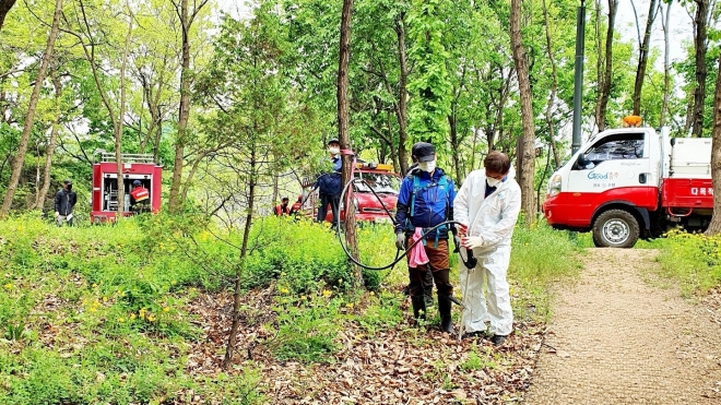 충북 충주시가 산불진화대원과 산불진화차량을 이용해 매미나방 알집과 애벌레를 제거하고 있다. 충주시 제공.