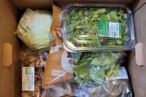 1년간 48만원… 종로, 모든 임산부에 친환경농산물 쏜다